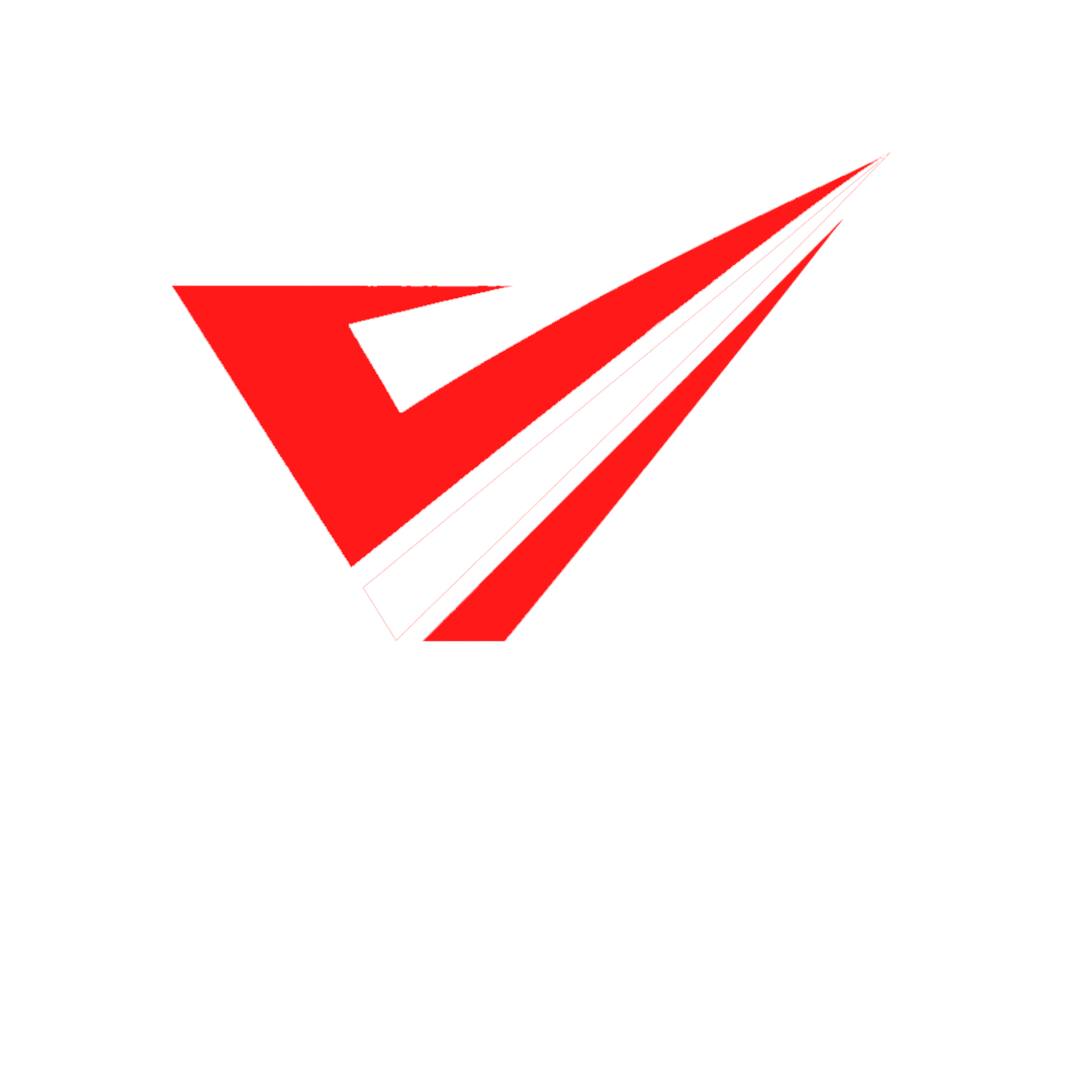 Veiga Cars